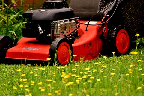 lawn-mower-2430719_1920